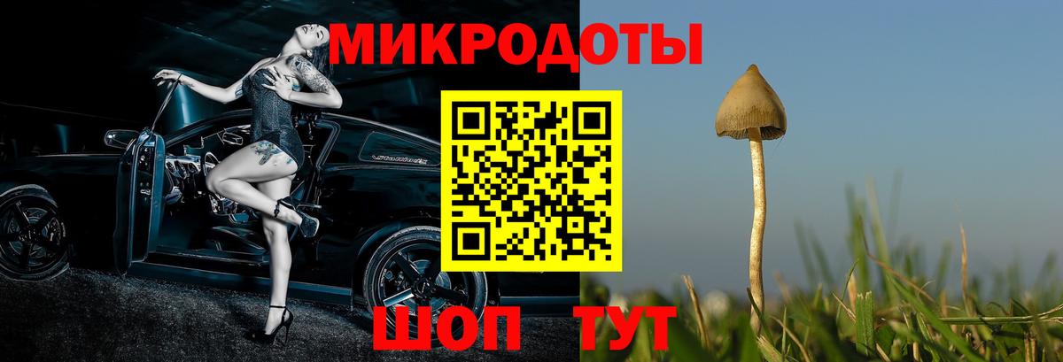 Великий Устюг  Галлюциногенные грибы Psilocybine cubensis  Вход с VPN  Псилоцибиновые грибы Psilocybine cubensis 